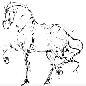 Meet your Posher, Anne